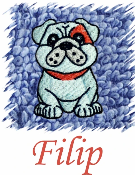 Dětský ručník s výšivkou a jménem - BULLDOG