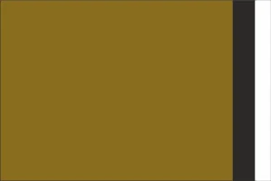 PLASTOVÉ OBÁLKY 350x450 mm zlaté od 10 ks