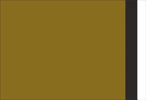 PLASTOVÉ OBÁLKY 400x500 mm zlaté od 10 ks