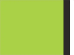 PLASTOVÉ OBÁLKY 200x230 mm zelené od 10 ks