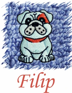 Dětský ručník s výšivkou a jménem - BULLDOG
